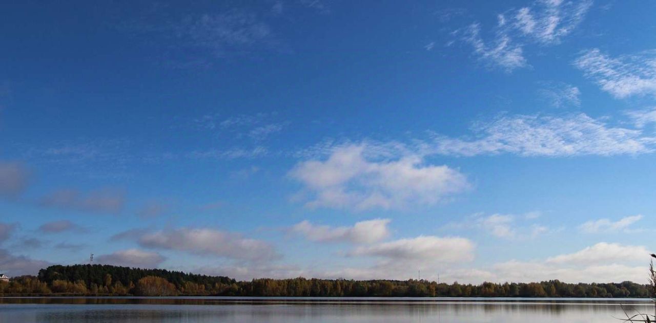 земля городской округ Богородский Богородск Форест кп фото 6