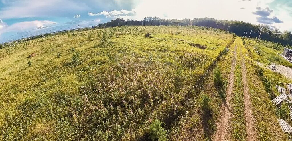 земля р-н Тюменский д Падерина Тюменский переулок фото 3