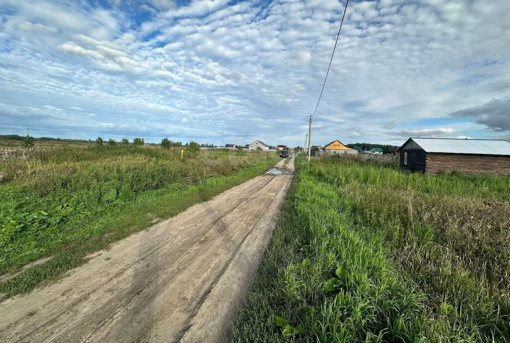 земля р-н Тюменский с Салаирка ул Дружбы фото 3