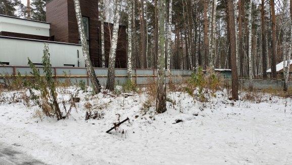 земля г Новосибирск р-н Заельцовский Заельцовская, Европейский территория тсн фото 1