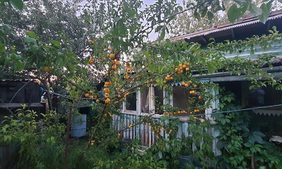 дом городской округ Ленинский д Дыдылдино 40а фото 3