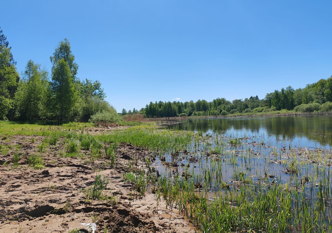 земля городской округ Истра п Агрогородок 29 км, Истра, Волоколамское шоссе фото 10