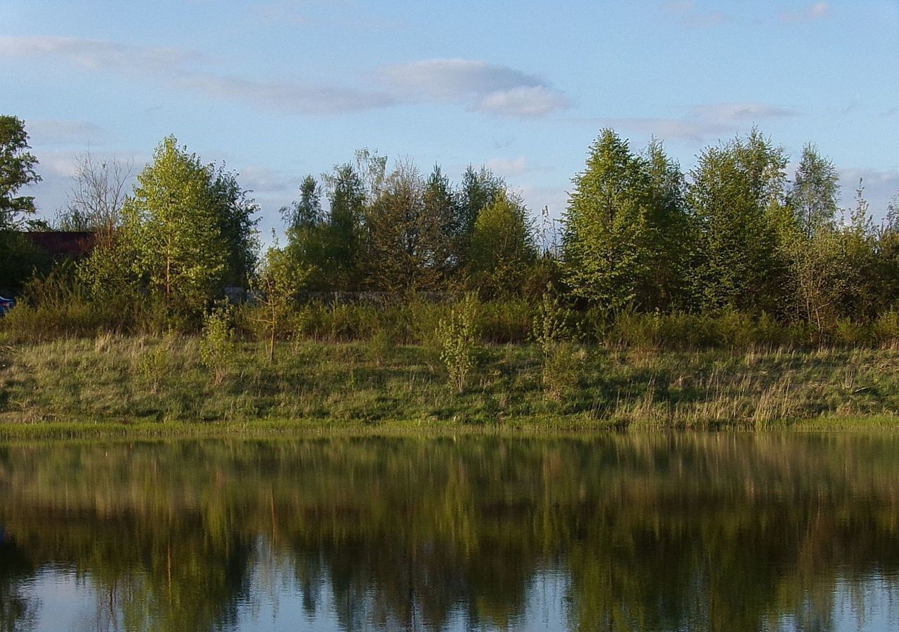 земля городской округ Ступино с Ситне-Щелканово 9794 км, Ступино, Новокаширское шоссе фото 5