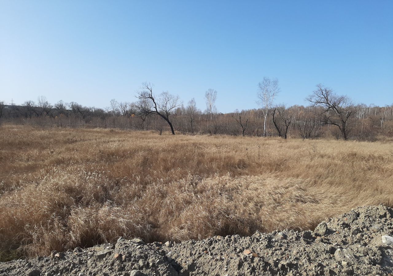 земля р-н Благовещенский с Чигири ул Центральная Благовещенск фото 5