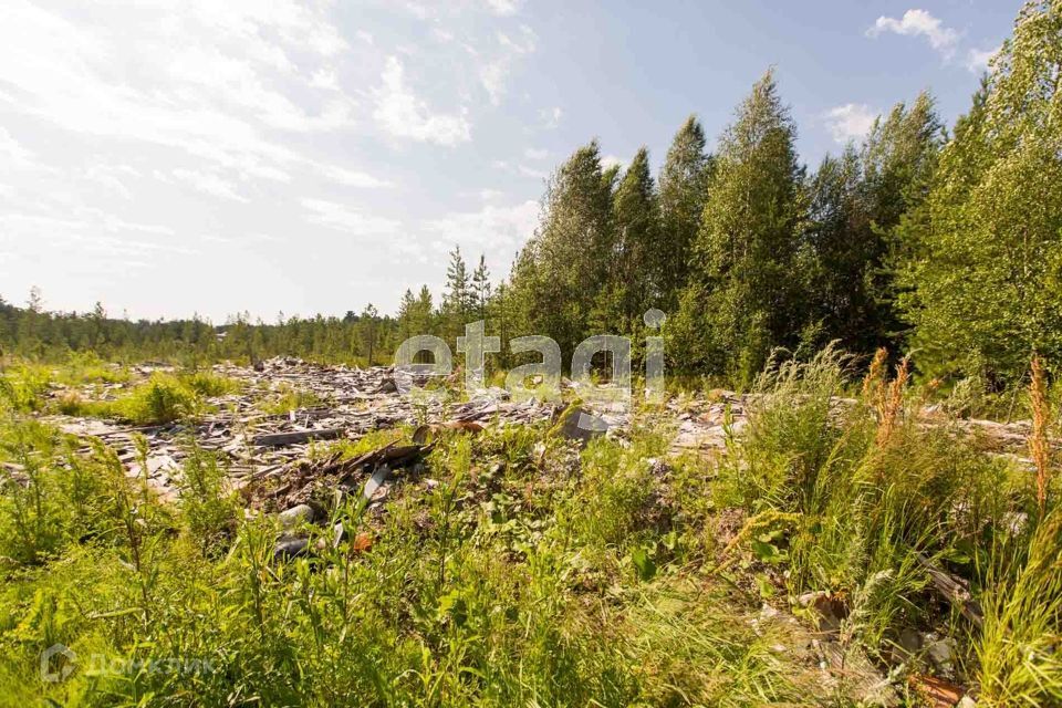 земля Сургут городской округ, ПСОК Автомобилист-1, Земляничная улица фото 2