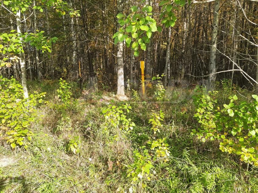 земля р-н Нижнетавдинский село Тюнево фото 2