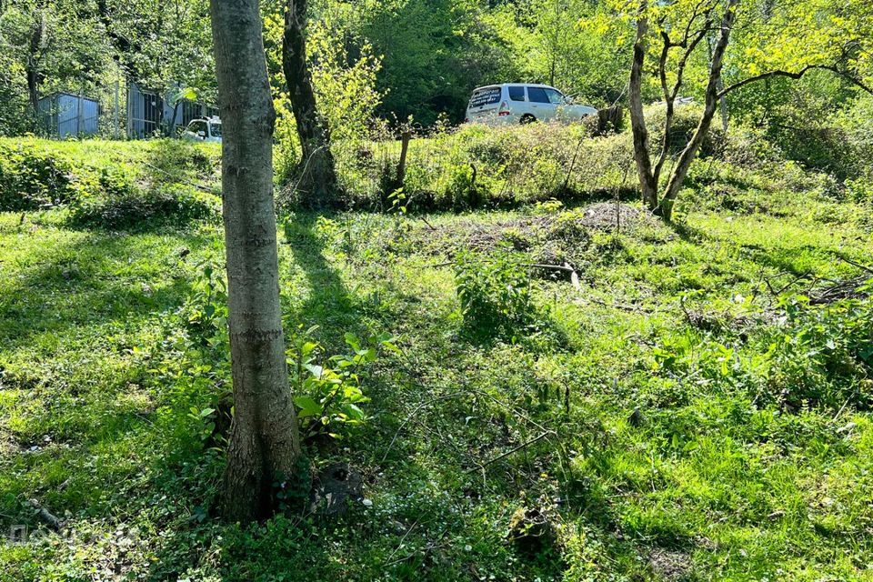 земля г Сочи городской округ Сочи, Туристический маршрут Прохладный фото 3