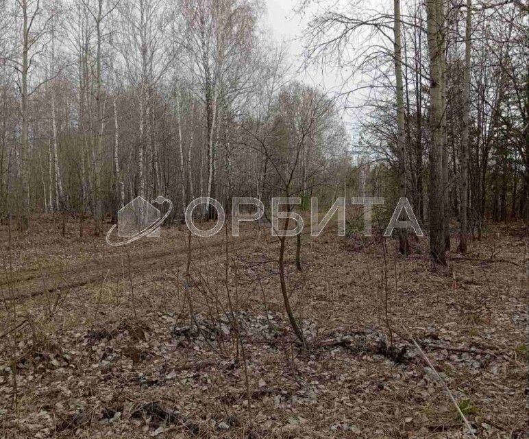 земля р-н Нижнетавдинский фото 3