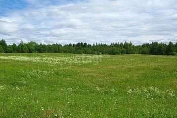 земля р-н Зеленоградский п Кумачево ул Озерная 12 фото 1