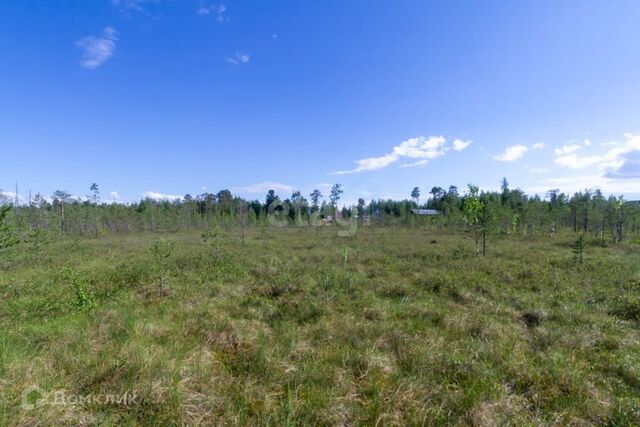 земля тер ПСОК N 2 Железнодорожник Сургут городской округ, 5-я улица фото