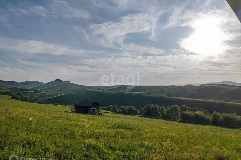 земля р-н Алтайский фото 4