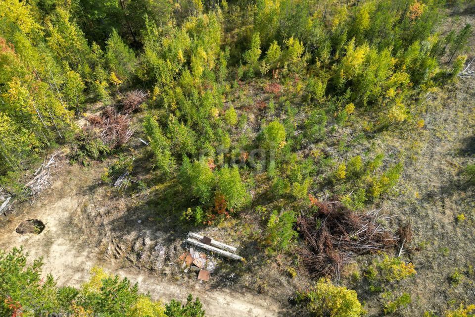 земля Сургут городской округ, Ханты-Мансийский автономный округ — Югра, СТ 68 Весеннее фото 3