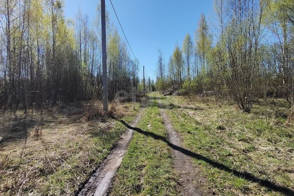 земля г Вологда Вологда городской округ, СТ Медик фото 3