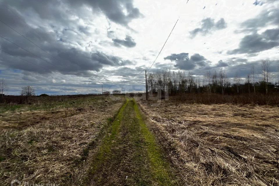 земля р-н Вологодский Михалево Новленское сп фото 2