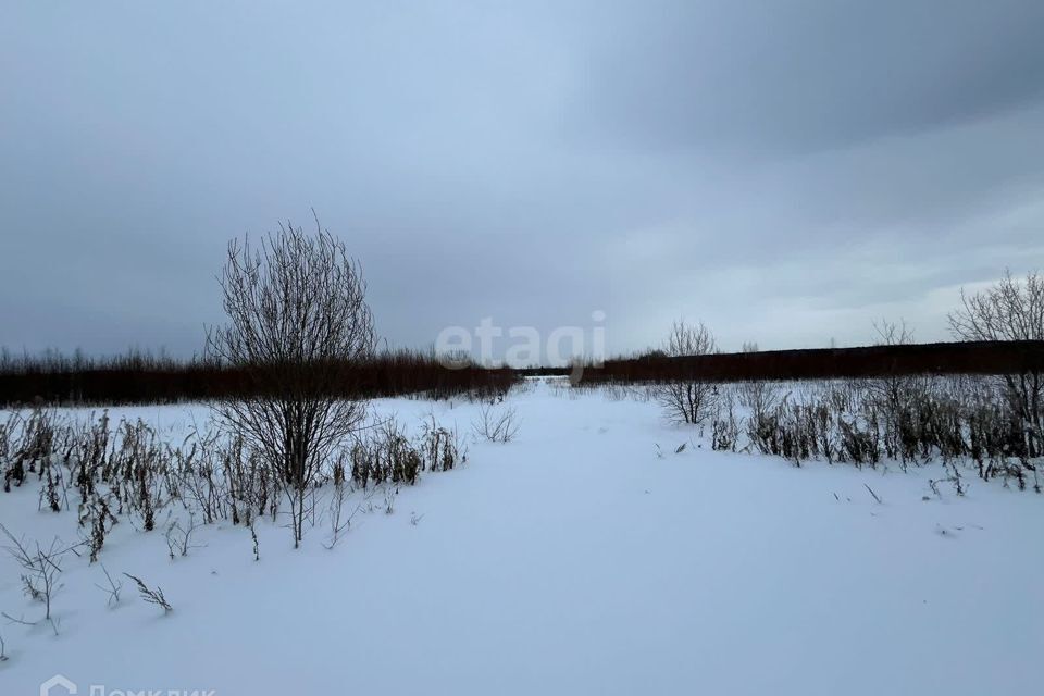 земля г Нижний Тагил городской округ Нижний Тагил, СНТ Металлист фото 4