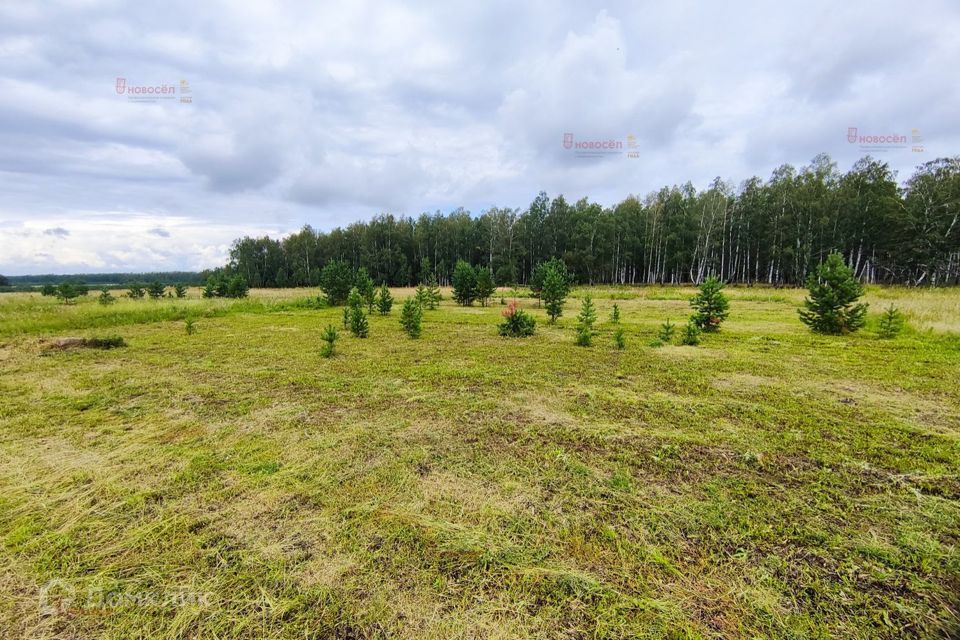 земля р-н Белоярский Белоярский городской округ фото 5