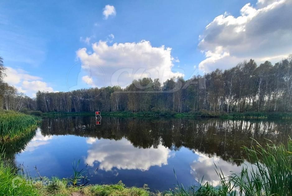 земля р-н Нижнетавдинский снт Водник ул Рябиновая фото 6