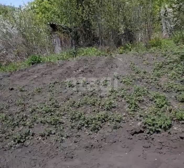 земля г Горно-Алтайск городской округ Горно-Алтайск, СТ Алтай-2 фото 6