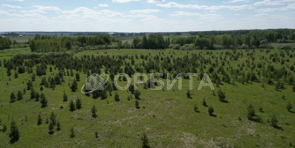 земля р-н Тюменский с Горьковка ул Сибирская Тюмень фото 1