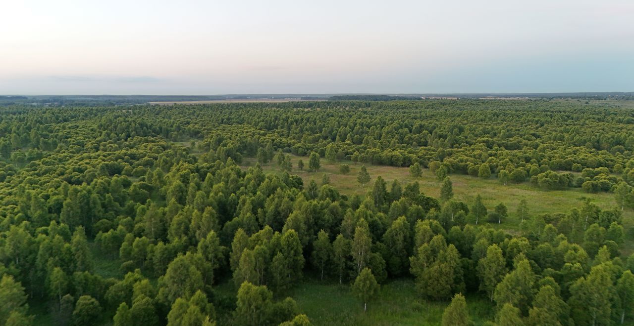 земля городской округ Ступино п Малино 9787 км, г. о. Ступино, Новокаширское шоссе фото 2