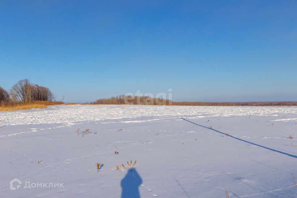 земля р-н Хабаровский село Заозёрное фото 8