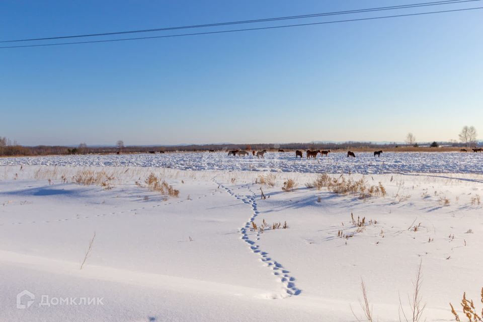 земля р-н Хабаровский село Заозёрное фото 8