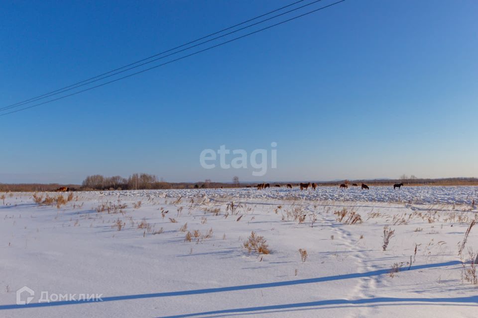 земля р-н Хабаровский село Заозёрное фото 6