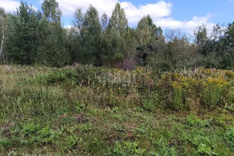 земля г Нижний Новгород городской округ Бор, Муниципальное образование город Бор фото 7