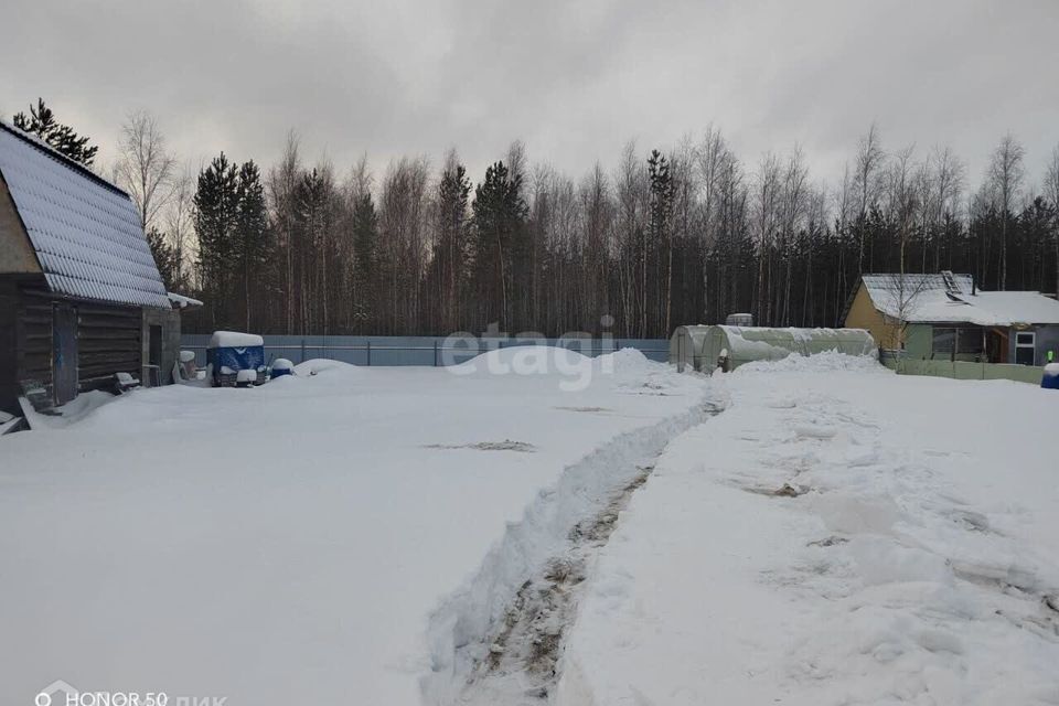 земля Сургут городской округ, СНТ 3, 2-я улица фото 5