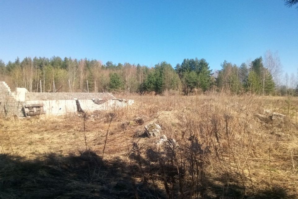 дом р-н Городецкий село Смольки фото 6