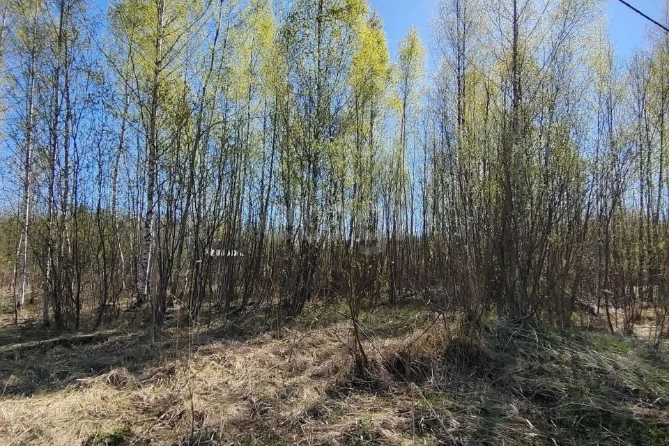 земля г Вологда Вологда городской округ, СТ Медик фото 8