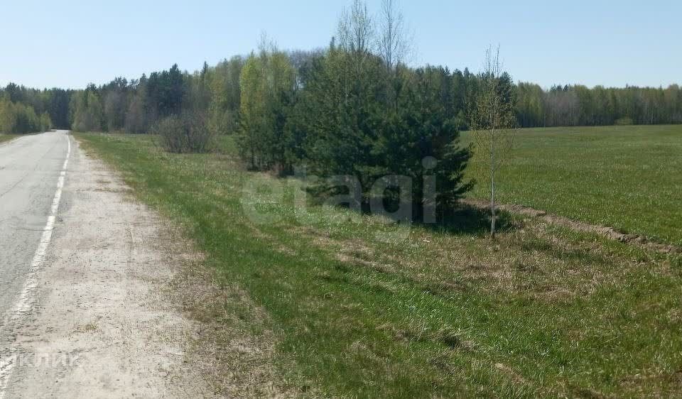 земля р-н Нижнетавдинский снт Здоровье-3 фото 7