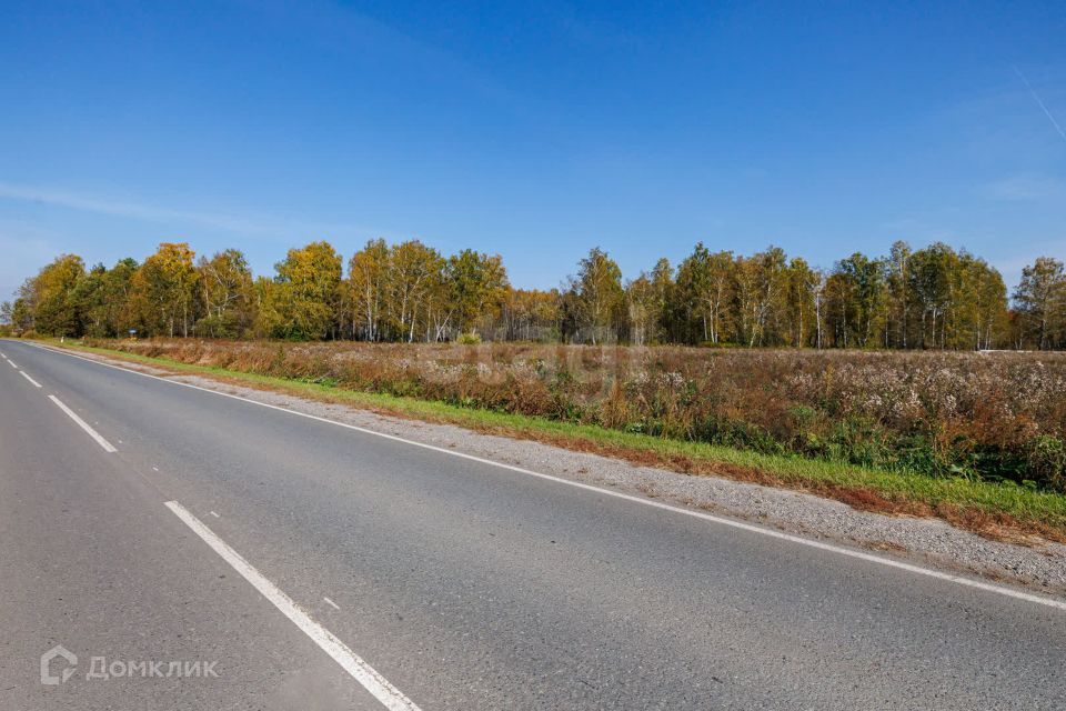 земля р-н Тюменский деревня Зырянка фото 8