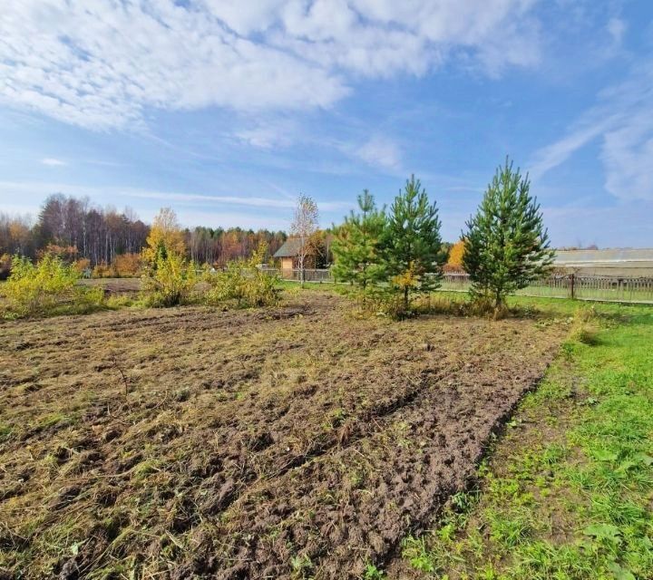 земля г Северск д Семиозерки ул Дорожная городской округ Северск фото 6