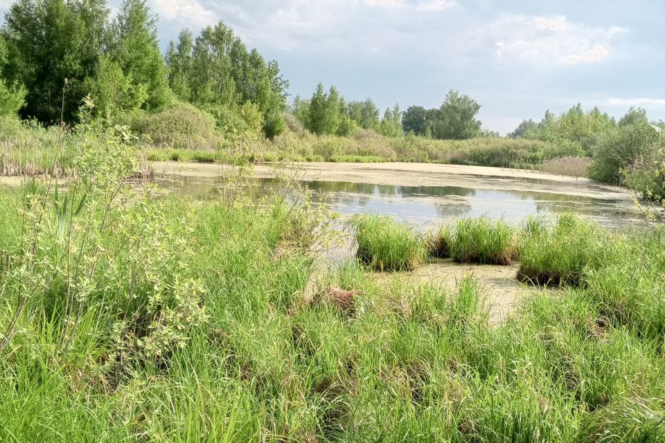 дом г Дзержинск п Горбатовка ул Короленко 30 городской округ Дзержинск фото 9