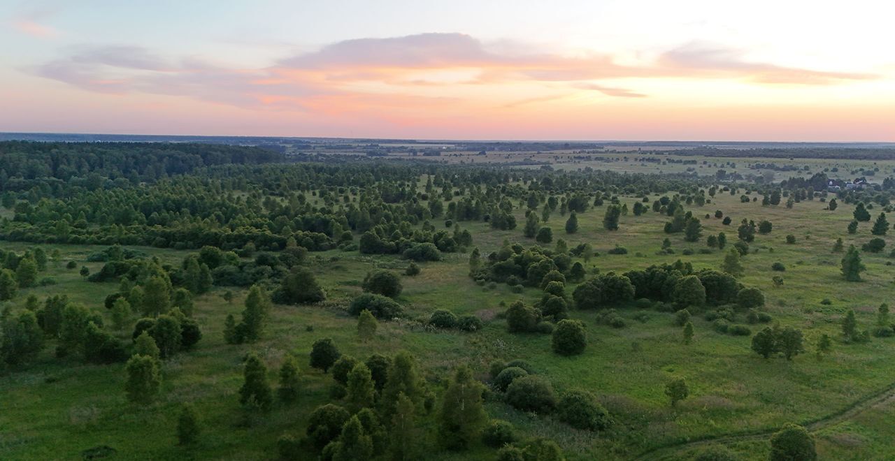 земля городской округ Ступино п Малино 9787 км, г. о. Ступино, Новокаширское шоссе фото 18