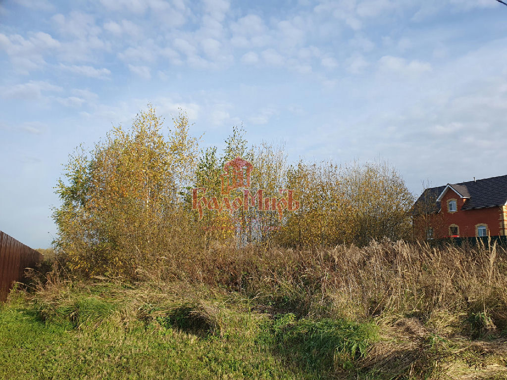 земля городской округ Дмитровский д Кунисниково фото 3