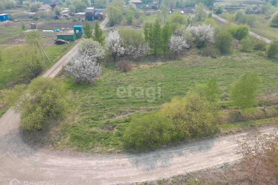 земля р-н Хабаровский с Тополево СНТ 19 Клетка фото 2