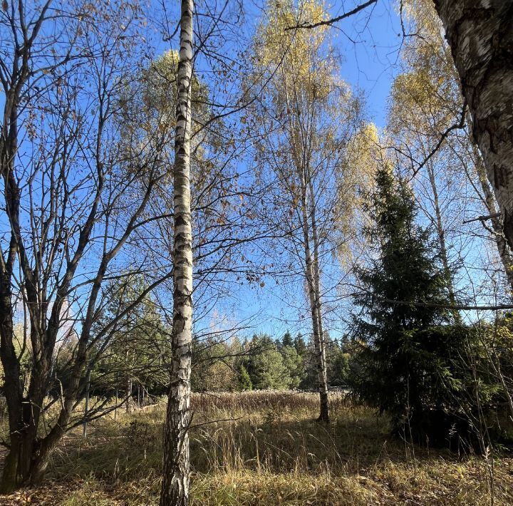 земля п Зеленоградский р-н мкр Полянка снт Зеленоградский фото 1