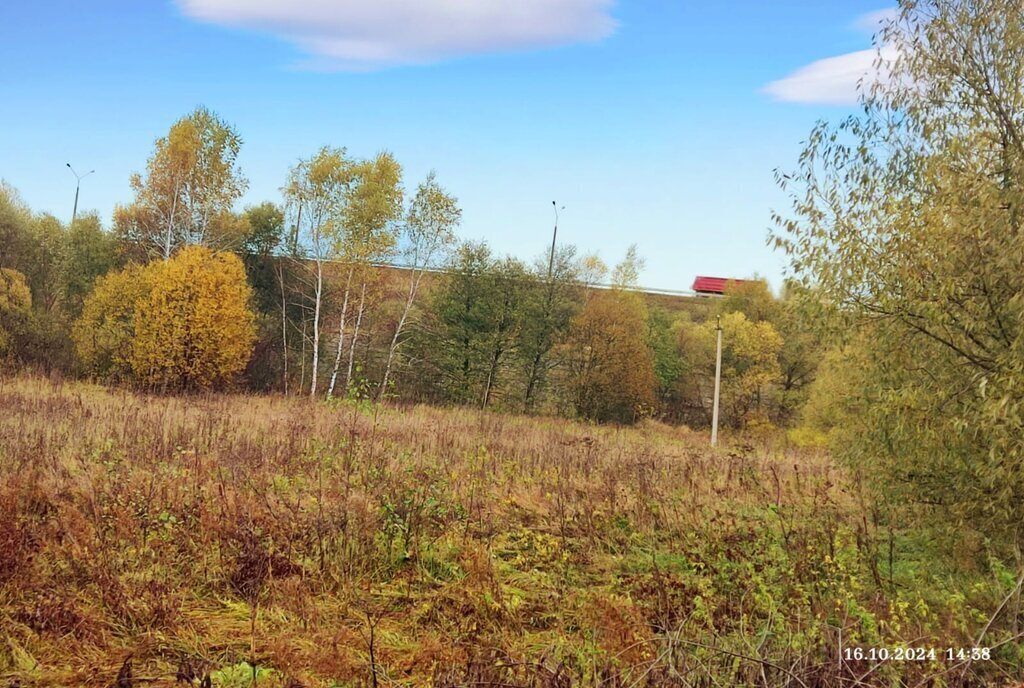 земля городской округ Кашира д Тарасково ул Дачная 215 фото 18