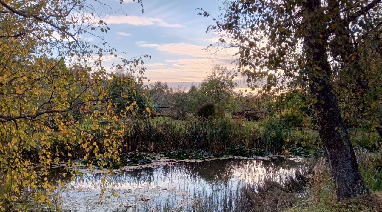 дом городской округ Шаховская д Лукошкино ул Центральная фото 13