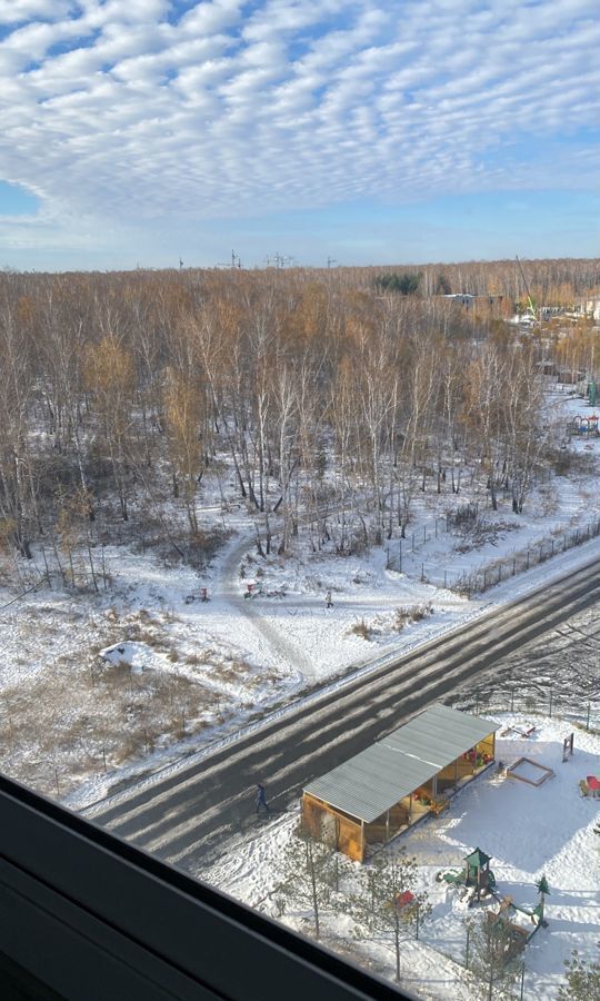 квартира р-н Сосновский п Западный Кременкульское сельское поселение, мкр-н Вишнёвая Горка, Изумрудная ул., 1, Челябинск фото 9