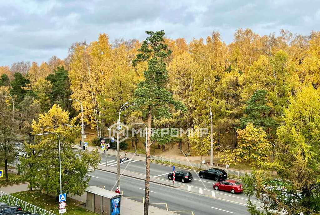 квартира г Санкт-Петербург метро Удельная пр-кт Тореза 82 округ Светлановское фото 10