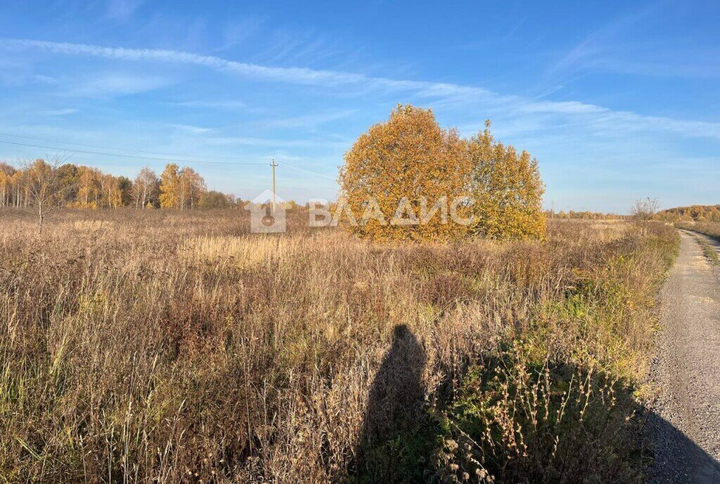 земля р-н Собинский д Струково фото 5