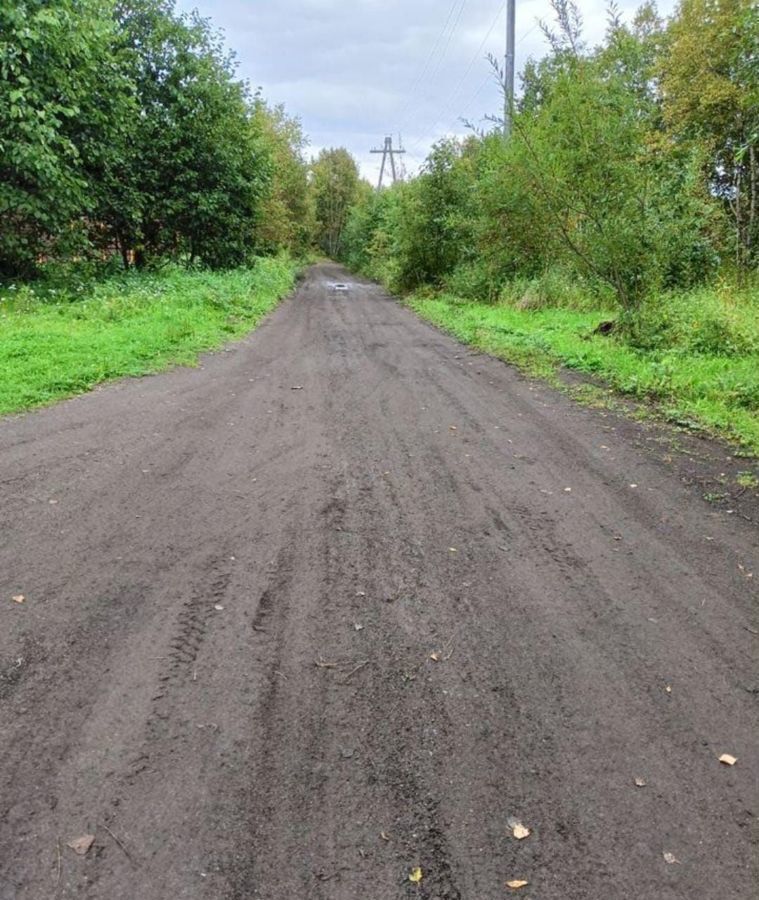 земля р-н Елизовский г Елизово садовое некоммерческое товарищество Лесник фото 3