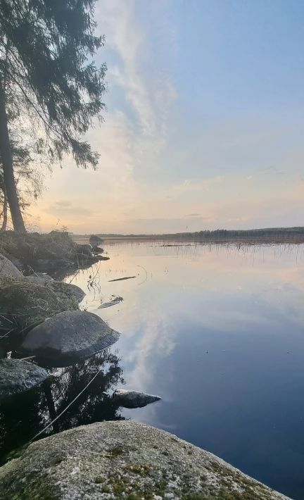 дом р-н Выборгский Приморское городское поселение, Лесная Ривьера кп, 89 фото 22