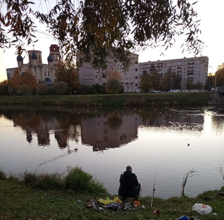 квартира г Санкт-Петербург метро Проспект Ветеранов ул Бурцева 19 фото 22