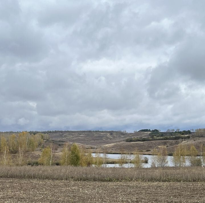 земля р-н Мокшанский с Рамзай сельсовет, Рамзайский фото 9