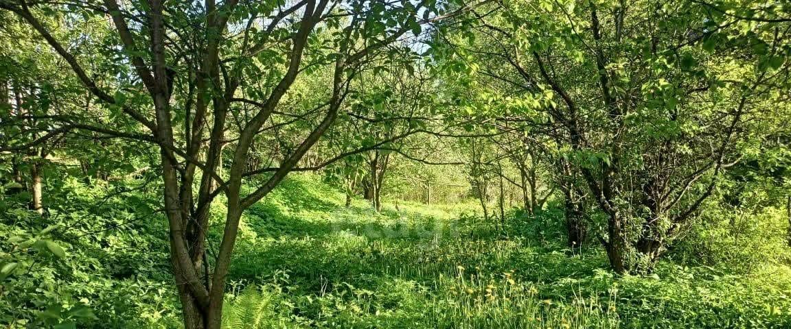 земля р-н Красносельский пгт Красное-на-Волге ул Комсомольская фото 1