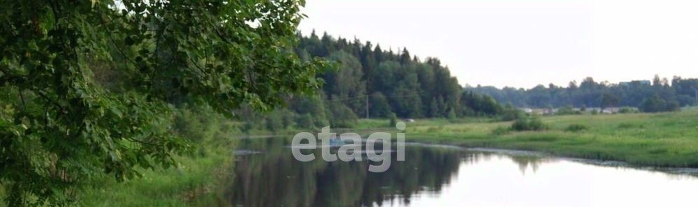 земля р-н Красносельский д Большое Андрейково ул Садовая Боровиковское с/пос фото 6